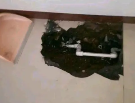 绿园卫生间测漏水多少钱